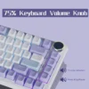 Teclado Mecánico AJAZZAK820 lila