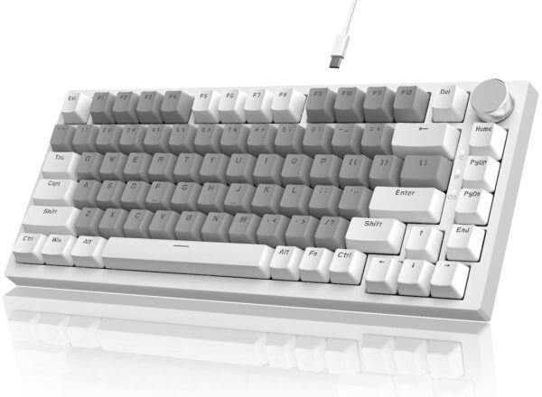 Teclado Mecánico AJAZZAK820 BLANCO